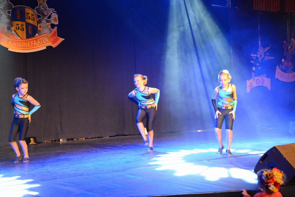 ../Images/Dansmarieke festival 2015 356.jpg